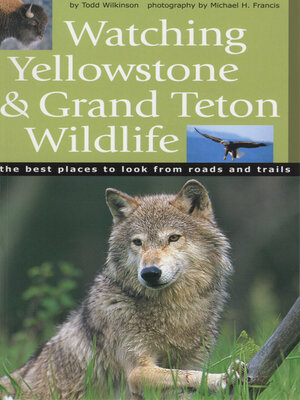 cover image of Watching Yellowstone and Grand Teton Wildlife